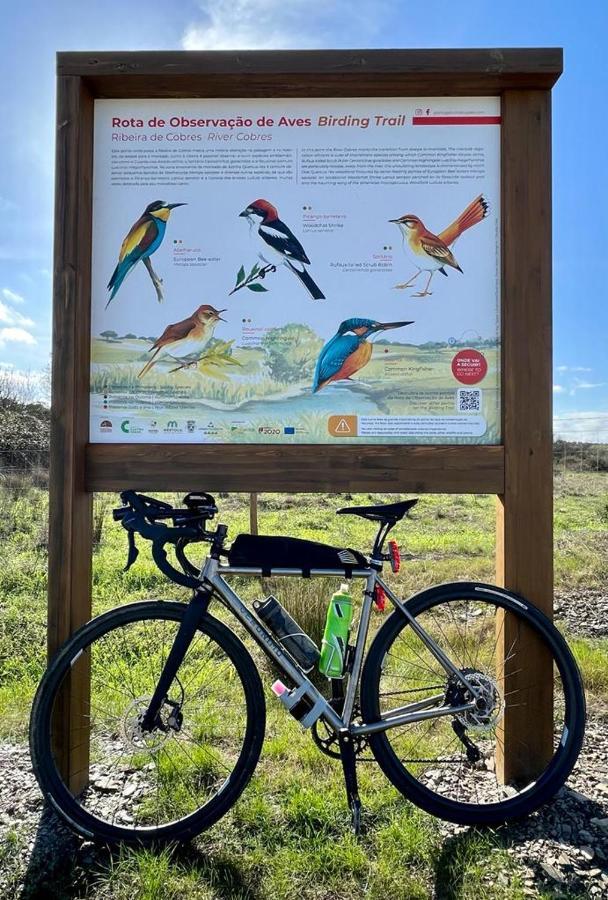דירות קסטרו ורדה 4Bs - Birds & Bicycles מראה חיצוני תמונה